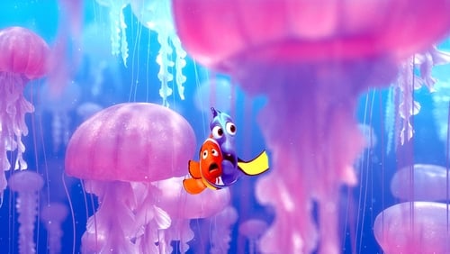 Hitta Nemo