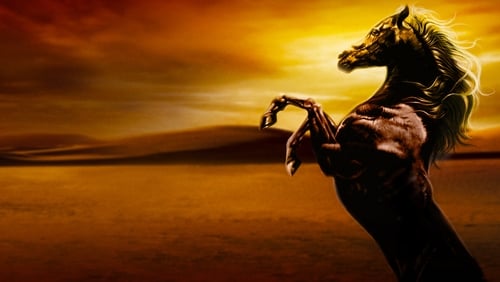 Shetan, el caballo del desierto
