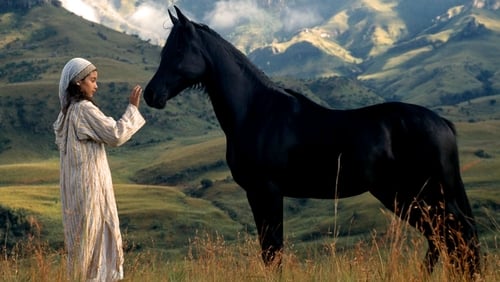 O Jovem Cavalo Negro