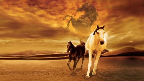 Shetan, el caballo del desierto