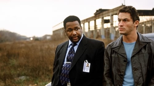 THE WIRE/ザ・ワイヤー