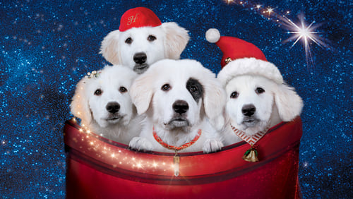 Karácsonyi kutyabalhé 2: A kölykök