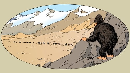 Tintins äventyr