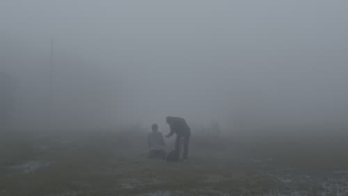 A Shot in the Fog