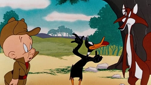 Kto załatwi kaczora Daffy'ego?