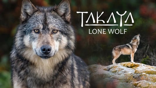 Takaya, le loup solitaire