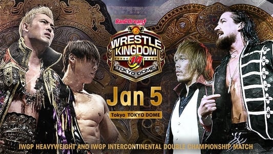 NJPW Wrestle Kingdom 14: Night 2