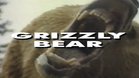Predators of the Wild: Grizzly Bear