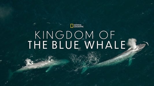 Królestwo płetwala błękitnego