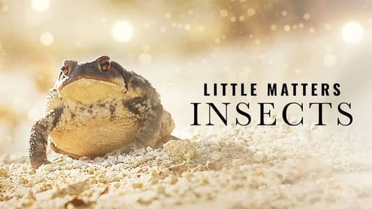 Little Matters: Insects