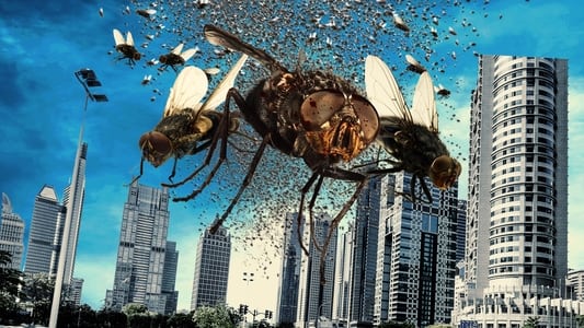 သေမင်းတမန်ကောင် (The Deadly Swarm )