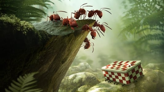 Minuscule - La valle delle formiche perdute
