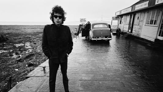 Alături de Bob Dylan