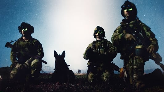 War Dog: El Mejor Amigo De Un Soldado
