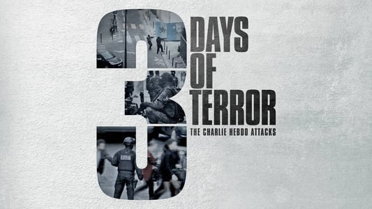 三天恐怖：查理·赫布多袭击
