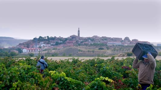 Rioja, Land of the Thousand Wines