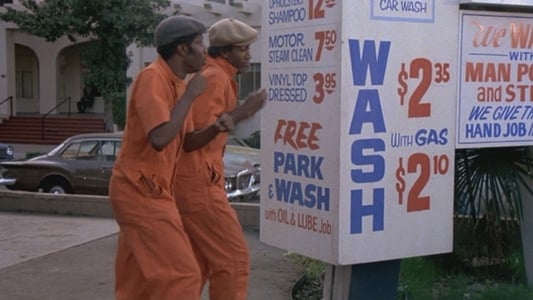 Car Wash - Der ausgeflippte Waschsalon