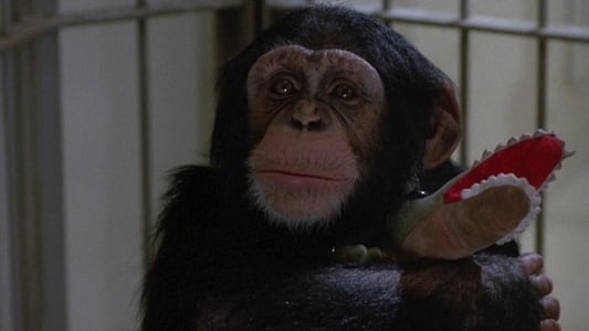 Projeto Secreto - Macacos
