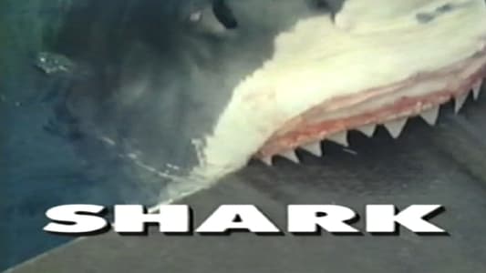 Predators of the Wild: Shark