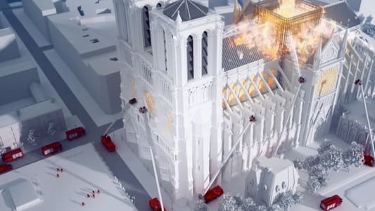 Notre Dame - Utrka s buktinjom