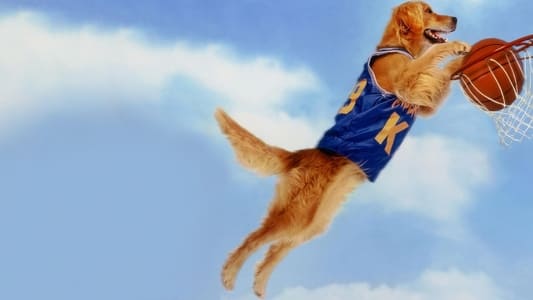 Basketball-hunden