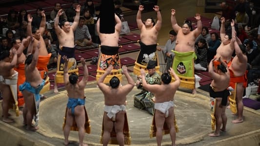 Fuji Television Cup - Grand Sumo Tournament