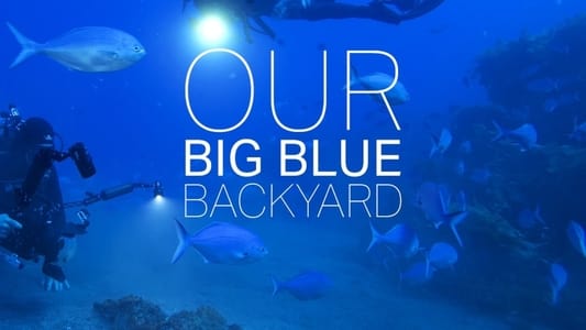Our Big Blue Backyard