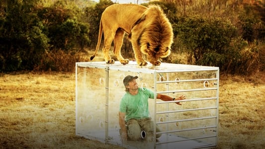 Mies vs. leijona