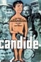 Candide or The Optimism in the 20th Century