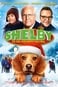 Shelby - Hunden der reddede julen