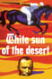 O Sol Branco do Deserto