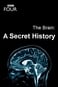 The Brain: A Secret History