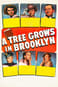 Brooklynissä kasvoi puu