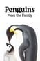 La famiglia dei pinguini
