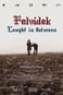 Felvidek – Caught in Between