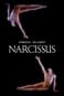 Narcissus