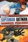 Superman e Batman: Inimigos Públicos