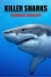 Žraloci zabijáci: Útoky černého prosince