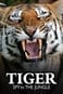 BBC: Тигр — Шпион джунглей