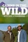 Cabins in the Wild with Dick Strawbridge