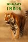 Dzikie koty z Indii