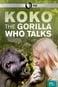 Koko: Gorila care vorbește cu oamenii