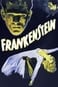 Frankenstein - mannen som skapade en människa