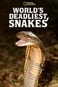 Maailman kuolettavimmat käärmeet