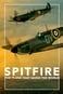 Die Spitfire – Königin der Lüfte