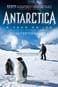 Antártida: Un año sobre hielo