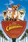 Beverly Hills Chihuahua Collection