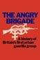 The Angry Brigade: The Spectacular Rise and Fall of Britain's First Urban Guerilla Group
