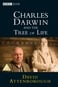 Charles Darwin y el árbol de la vida
