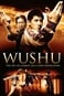 Wushu - A fiatal generáció